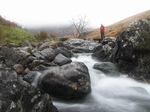 SX32963 Wouko on bridge over Nant Cadair stream.jpg